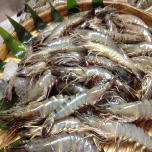 Prawn Medium (chingri)-500 gm